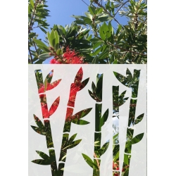 ROS21 50x47 naklejka na okno wzory roślinne - bambusy
